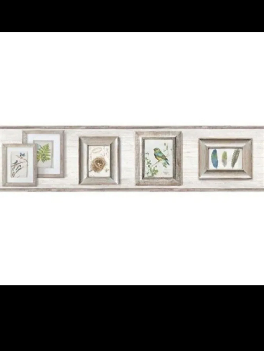 Wallpaper Border Feathers Birds & Ferns